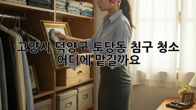 고양시 덕양구 토당동 침구 청소, 어디에 맡길까요?