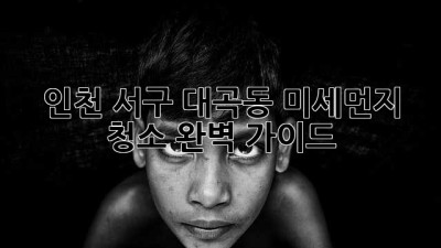 인천 서구 대곡동 미세먼지 청소 완벽 가이드