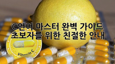 C언어 마스터 완벽 가이드: 초보자를 위한 친절한 안내