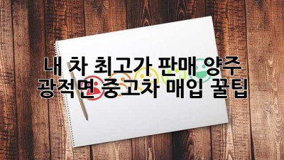 내 차 최고가 판매?! 양주 광적면 중고차 매입 꿀팁🍯